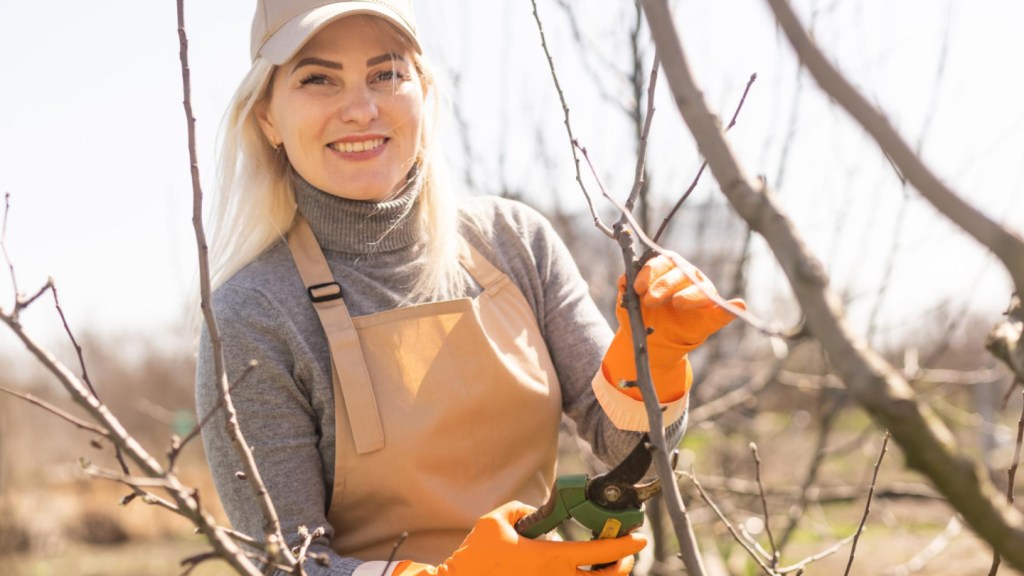 Сезонна робота в Чехії для українців: важлива інформація