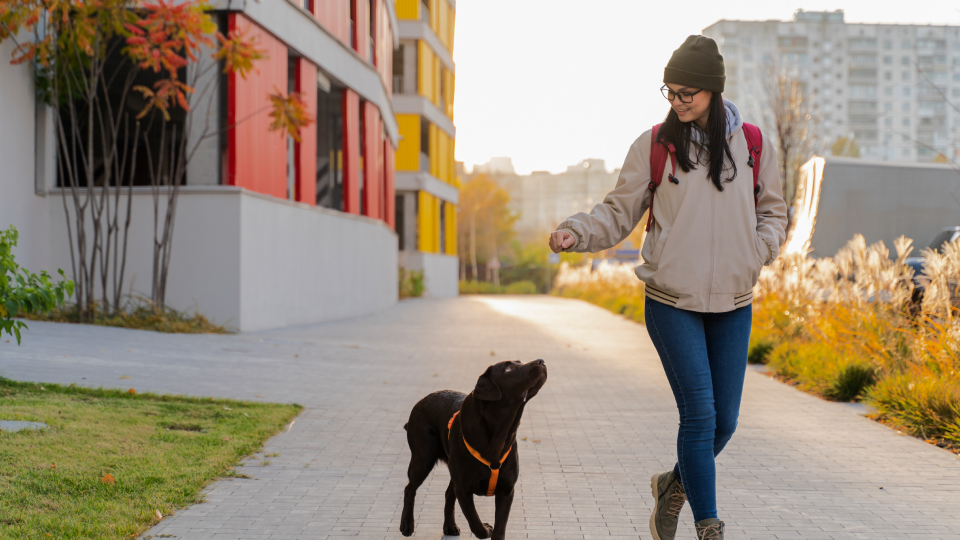 Оренда квартири в Празі: корисна інформація