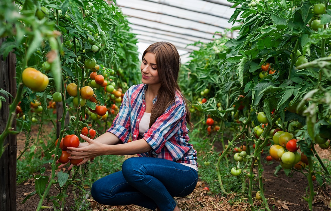 Затребувані вакансії для іноземців та середня зарплата в Італії