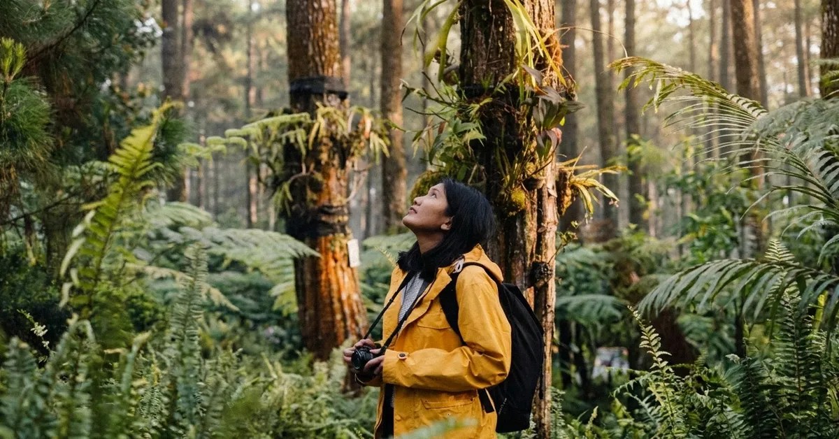 5 essential tips for solo travellers