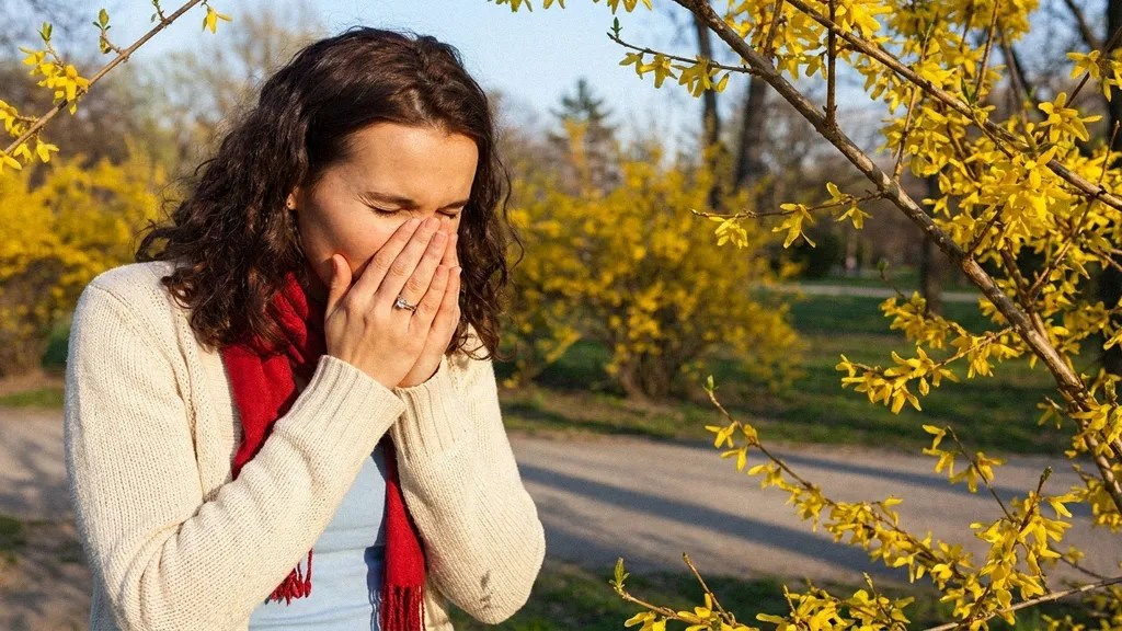 hay-fever-alergie-la-polen-uk